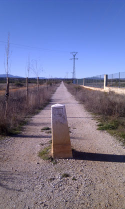 IMAG0516